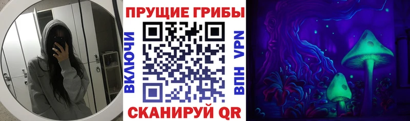 купить закладку  Бирюсинск  Псилоцибиновые грибы мухоморы 